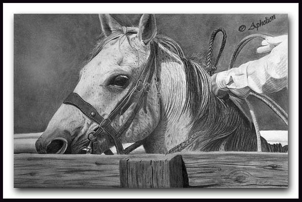 Roping Box - Graphite Pencil Horse