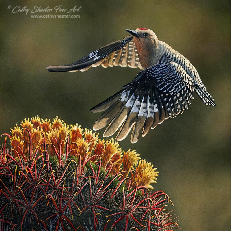 Acsend - Scratchboard