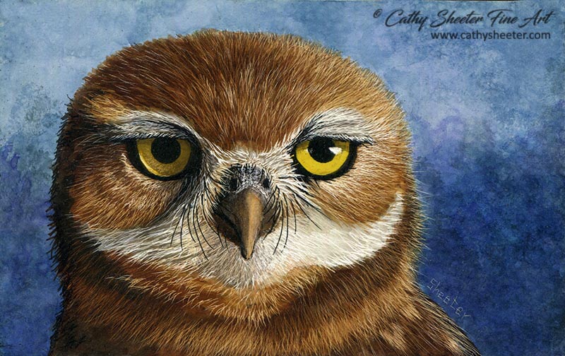 Burrowing Owl 3x5 - Scratchboard