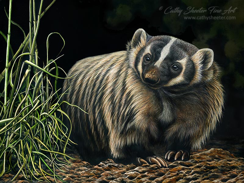 Digger - Scratchboard