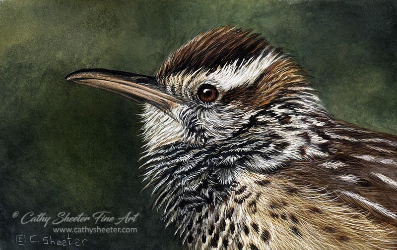 Cactus Wren 3x5 - Scratchboard