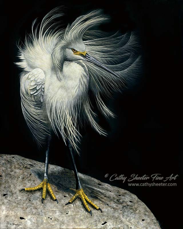 Egret - Scratchboard
