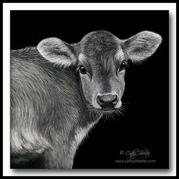 Scratchboard Art of Cathy Sheeter