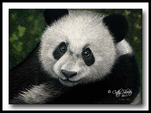 "Panda Pose" - clayboard 