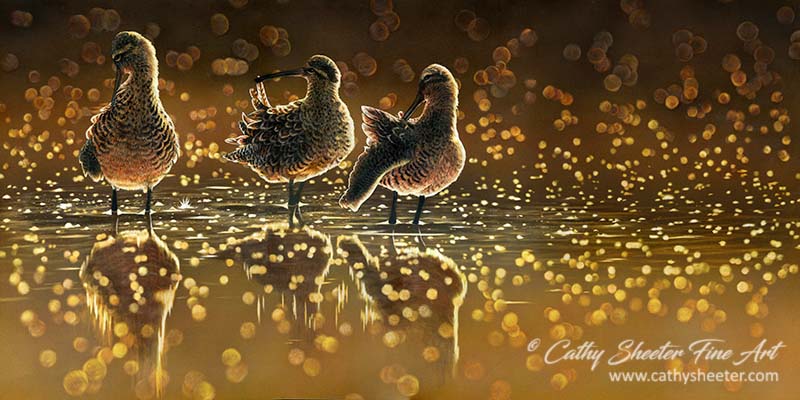 Primp - Scratchboard and ink