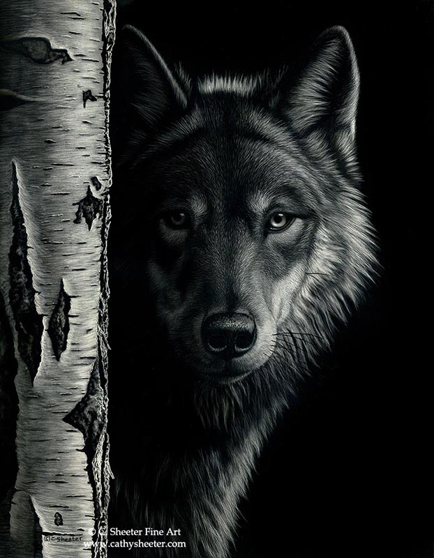 Wolf - Scratchboard