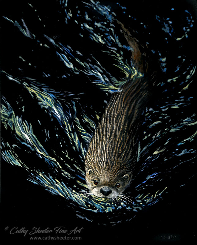 Otter - Scratchboard