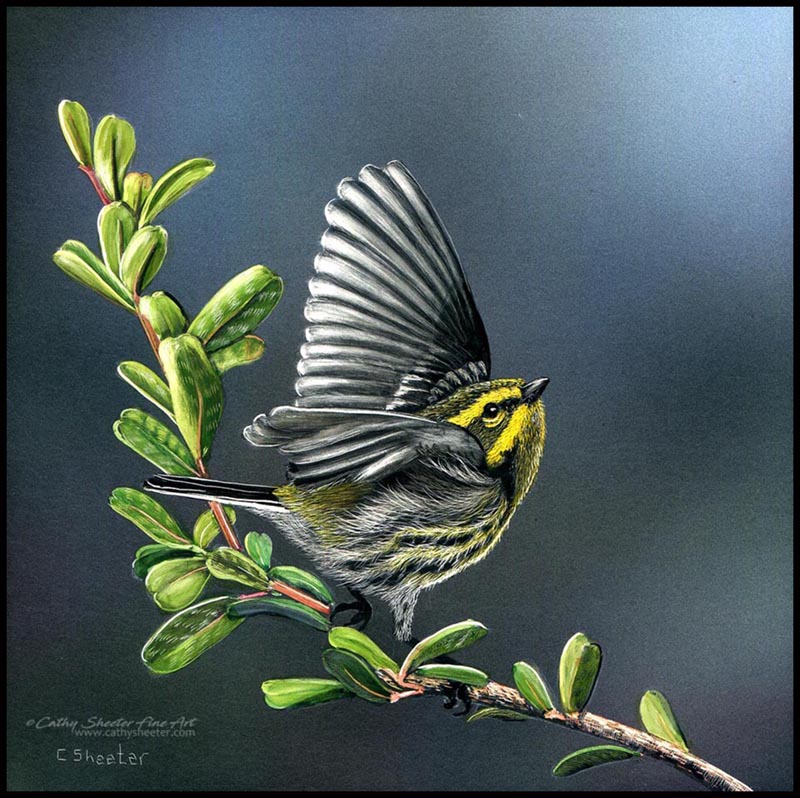 Scratchboard Art of Cathy Sheeter "Imperial"