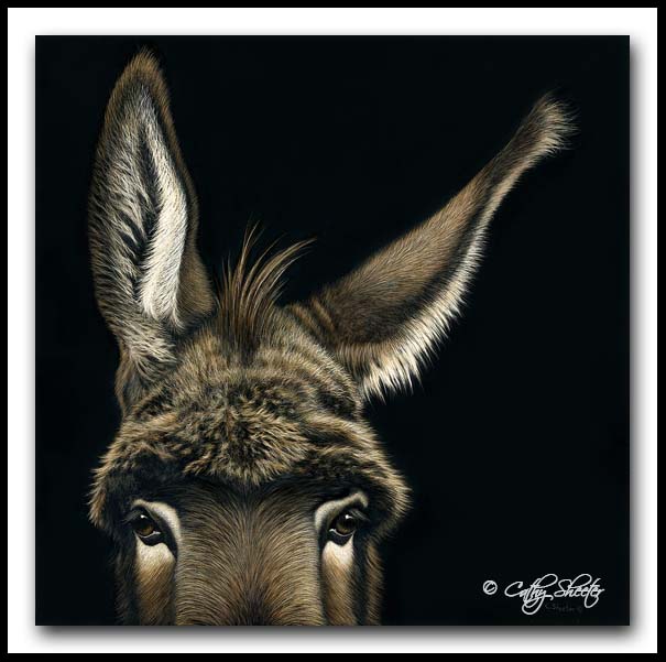 I'm All Ears - scratchboard and Ink Donkey