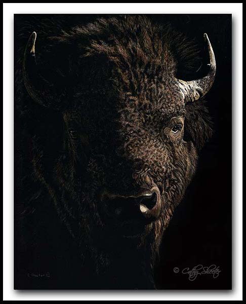 American Icon - Scratchboard Bison