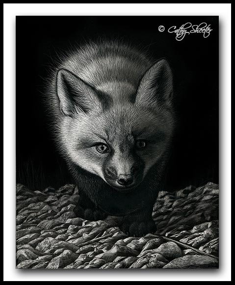 Fox Kit - Scratchboard Art