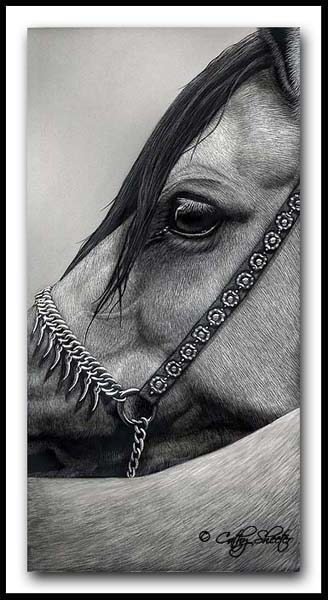 Arabian Elegance - Scratchboard Arabian Horse