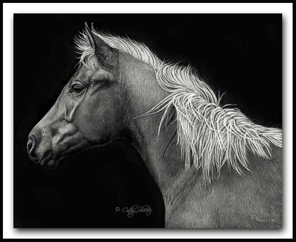 At Attention - Mustang Scratcboard