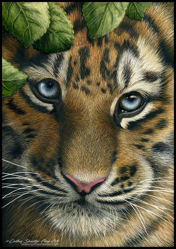 Scratchboard Art of Cathy Sheeter