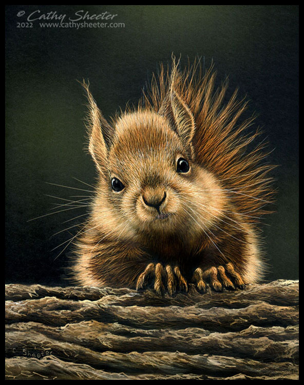 Scratchboard Art of Cathy Sheeter "Imperial"