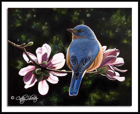 Bluebird and Blossoms- Scratchboard Bluebird