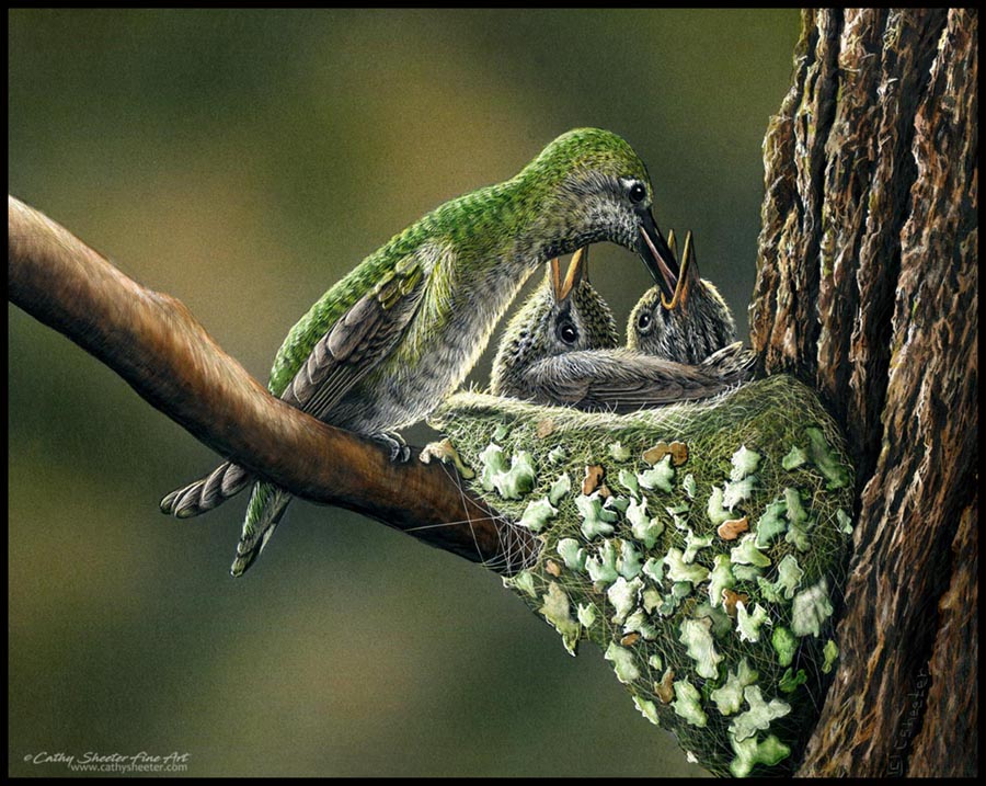 Feeding the Brood - Scratchboard