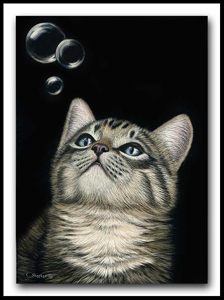 Bubbles - scratchboard and ink kitten