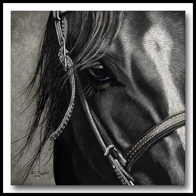 Caught In The Moment - scratchboard horse