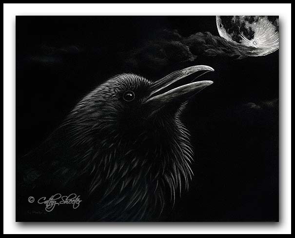 "As Darkness Descends" - Common Raven Scratchboard