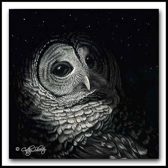 By Dawns Early Light- Scratchboard Barred Owl