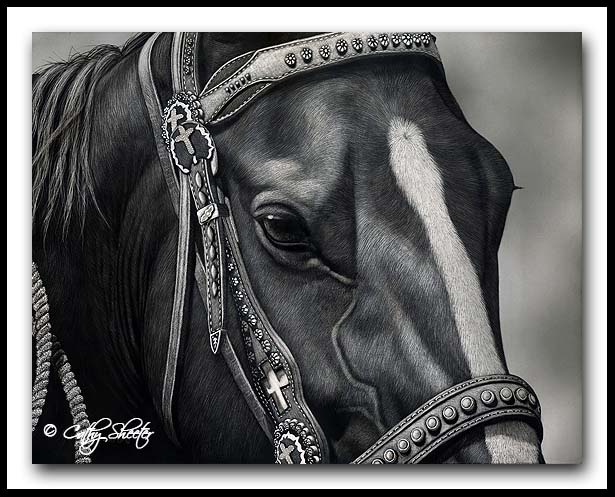 'Dressed For Success' -Horse Scratchboard Art