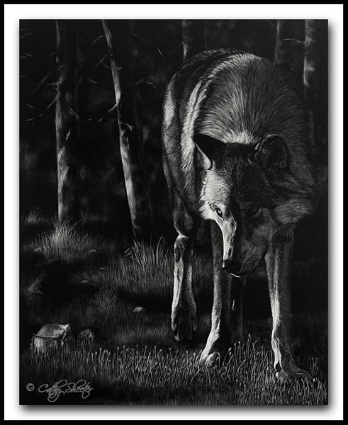 Edge Of Darkness - Scratchboard wolf