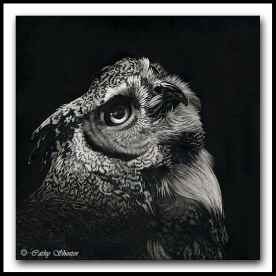 The Enlightened -Great Horned Owl Scratchboard Art