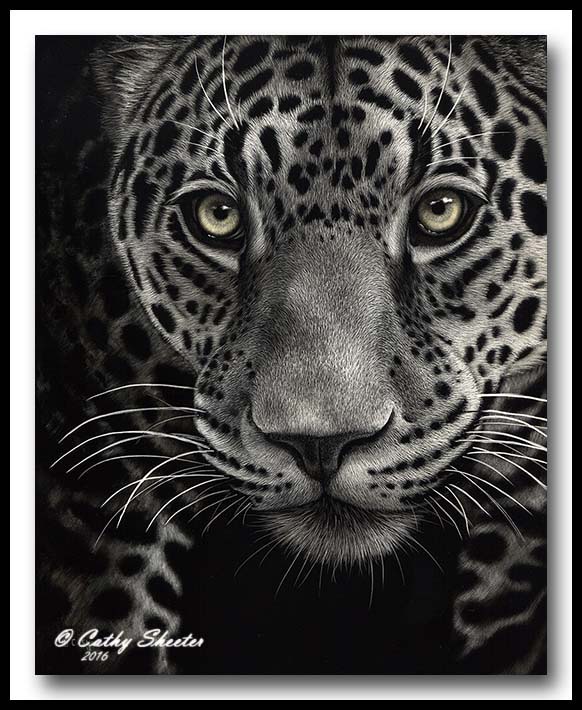 Eye Spy- Jaguar Scratchboard