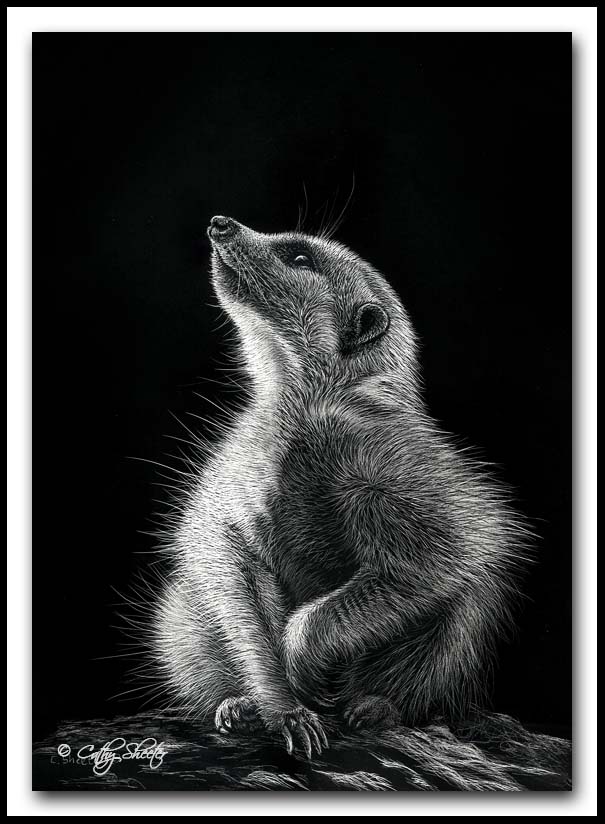 Scratchboard Art of Cathy Sheeter
