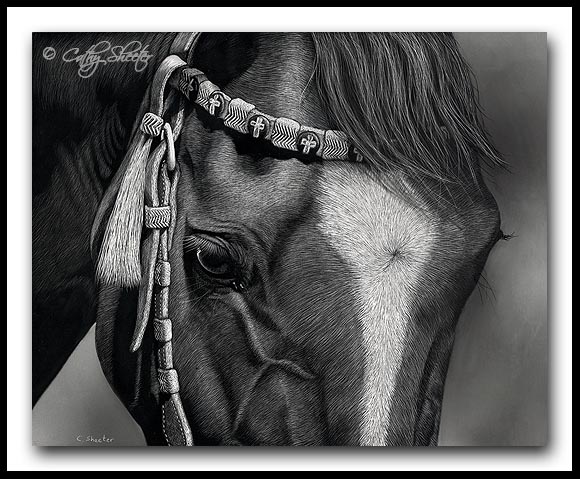 American Quarter Horse - Scratchboard Art