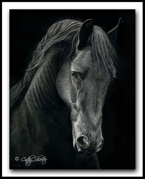 Friesian Horse - Scratchboard Art