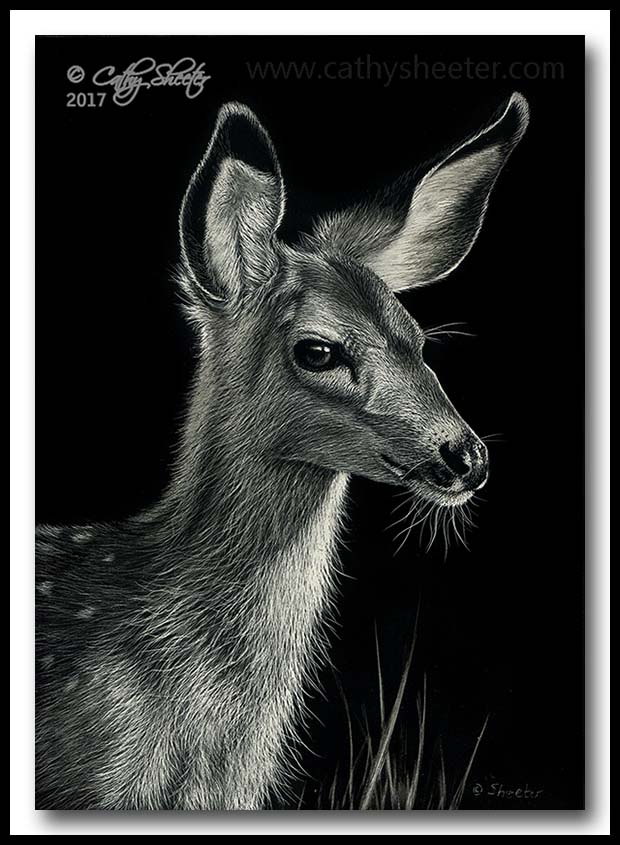 "Fawn Over me" - scratchboard 