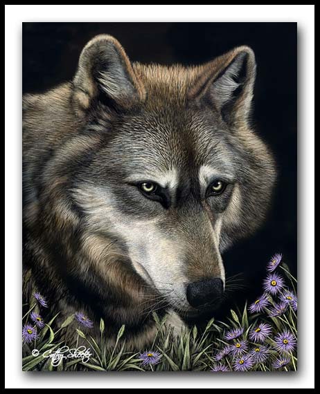 Flower Power - Scratchboard and Ink Wolf