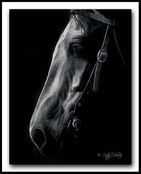 'Good Ole Boy' -Horse Scratchboard Art
