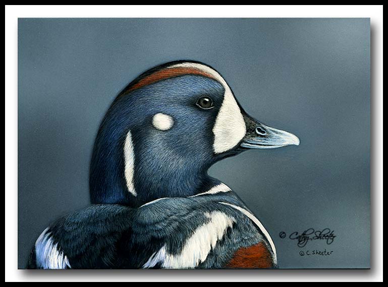 The Scratchboard Art of Cathy Sheeter