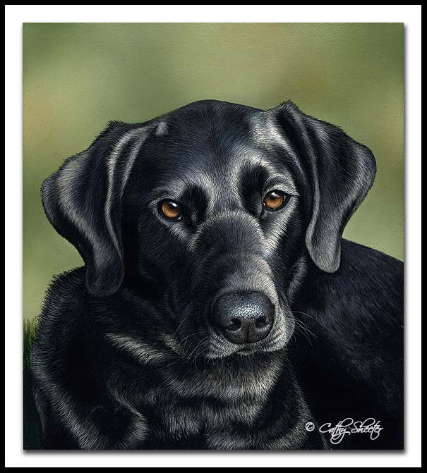 Heart - Scratchboard Labrador Retriever