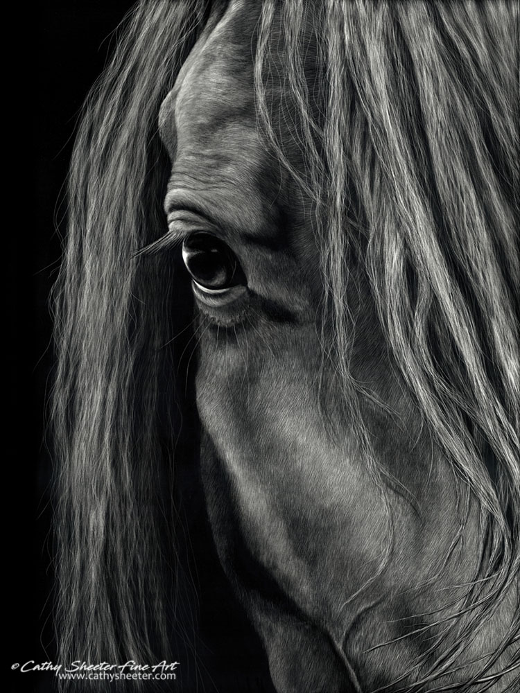 Scratchboard