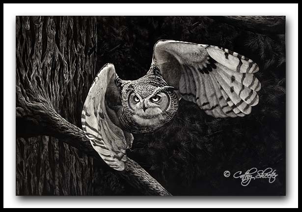 The Huntsman- Great Horned Owl Scratchboard