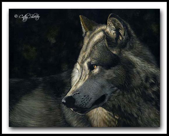 Just A Glance - scratchboard and ink wolf