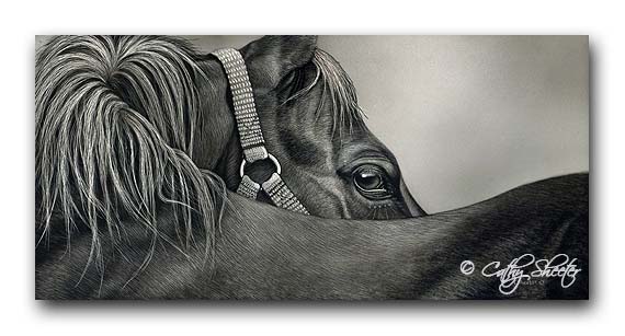 'Looking Back' -Horse Scratchboard Art