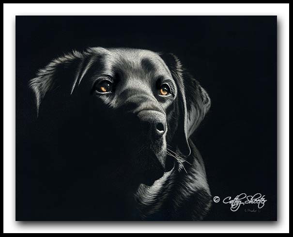 Loyalty - Scratchboard Art Labrador