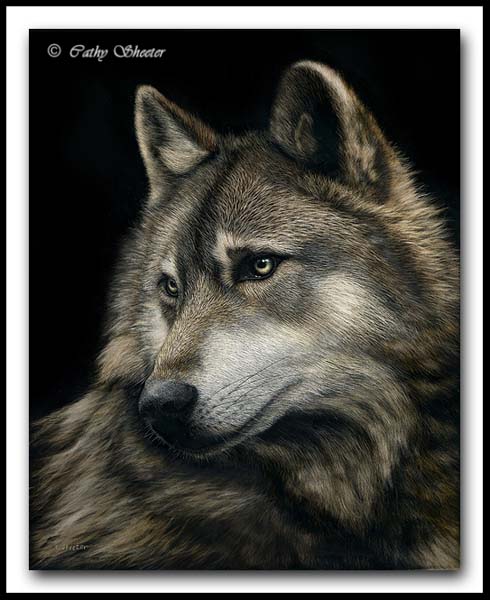 Mahigan - Gray Wolf Scratchboard Art