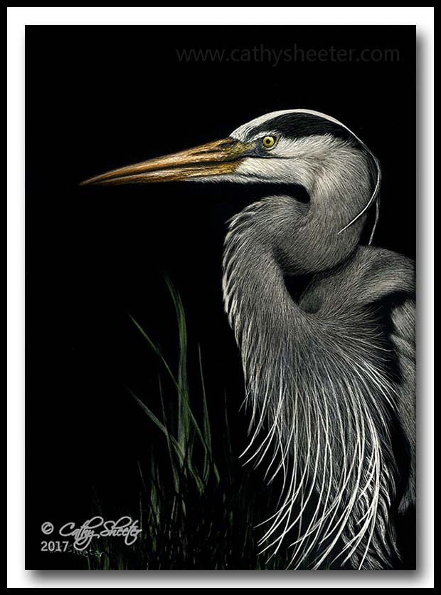 "Master Of The Marsh" - scratchboard 