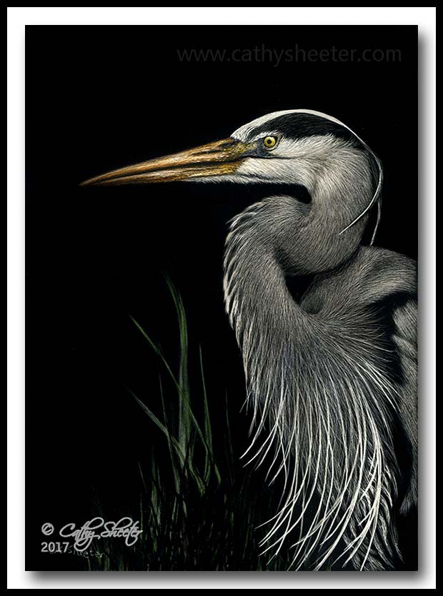 Scratchboard Art of Cathy Sheeter