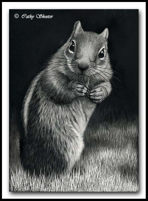 Mister Chipper - Scratchboard Chipmunk