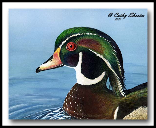 Mr. Wood Duck - Acrylic
