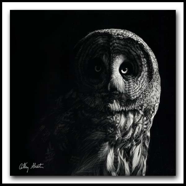 The Night Watchman - Great Gray Owl Scratchboard