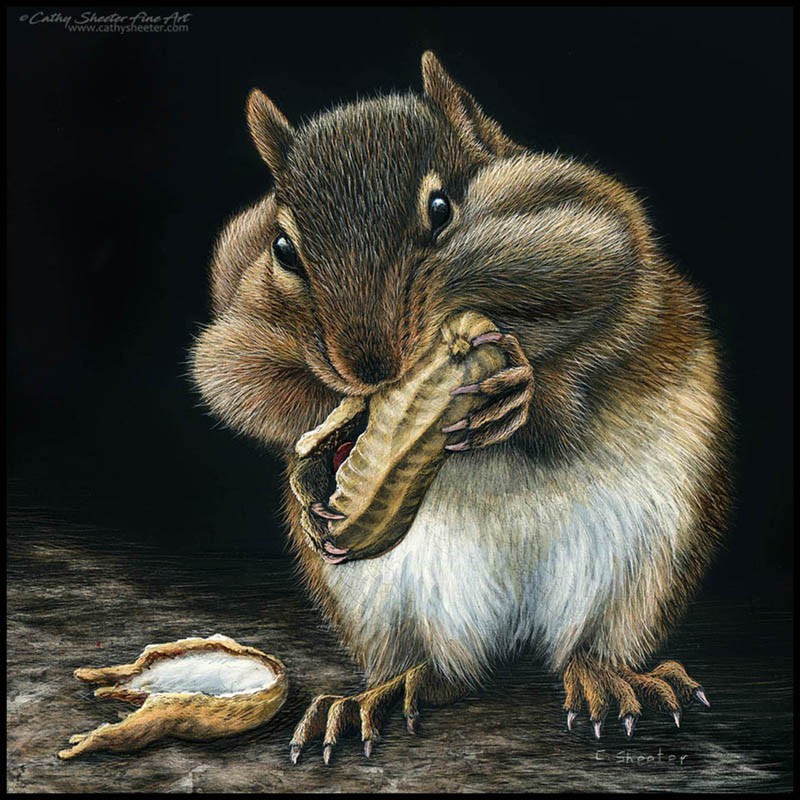 Nutter Butter - Scratchboard Chipmunk