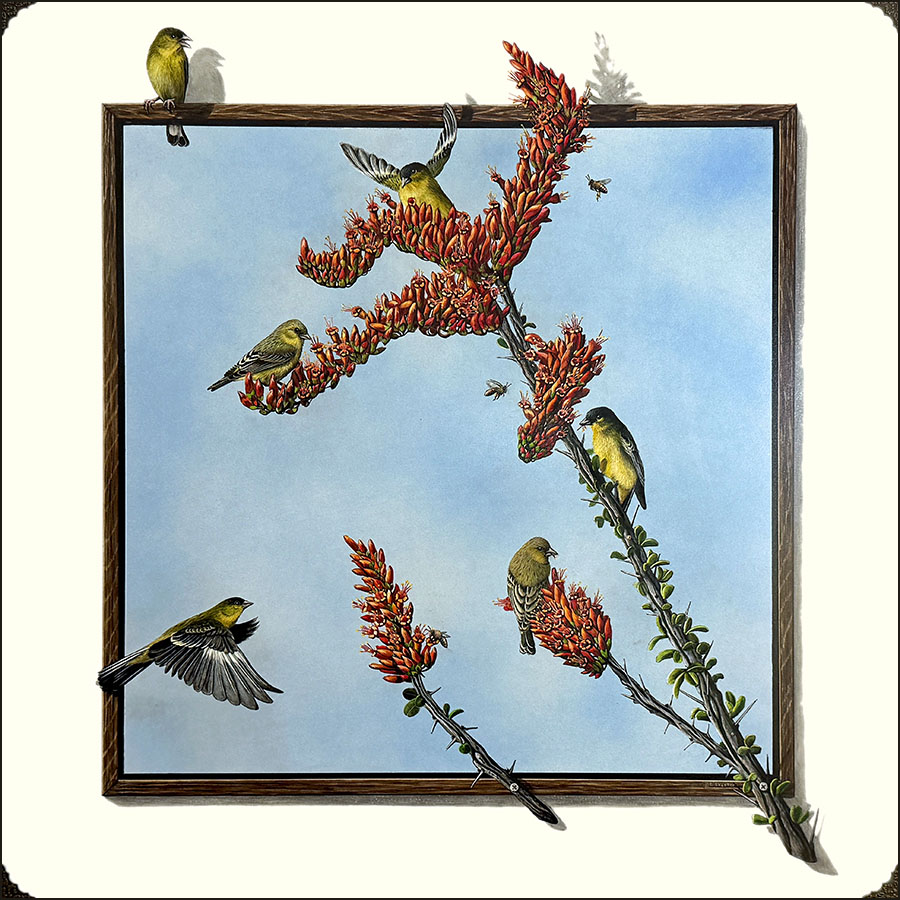 Oasis - Scratchboard